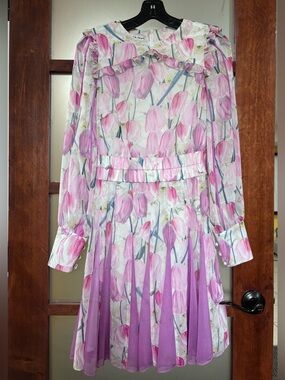 Nora Noh Floral Pink Long-Sleeve Ruffle Dress